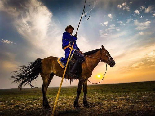 2020新影像 手機鏡頭下的七月動態與視覺創意