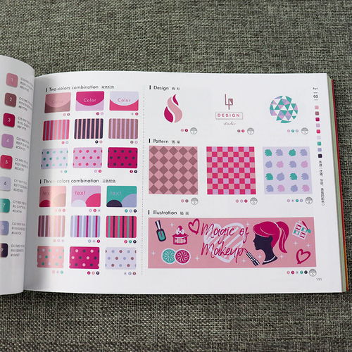 《色彩力》 一本動(dòng)態(tài)時(shí)代的創(chuàng)意配色與視覺設(shè)計(jì)實(shí)用圖鑒